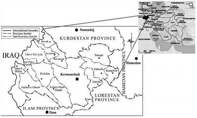 Developing a Paradigm Model for Resilience of Rural Entrepreneurial Businesses in Dealing With the COVID-19 Crisis; Application of Grounded Theory in Western of Iran